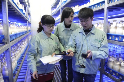 產(chǎn)業(yè)服務(wù)與技術(shù)推廣服務(wù) 驅(qū)動經(jīng)濟高質(zhì)量發(fā)展的雙引擎